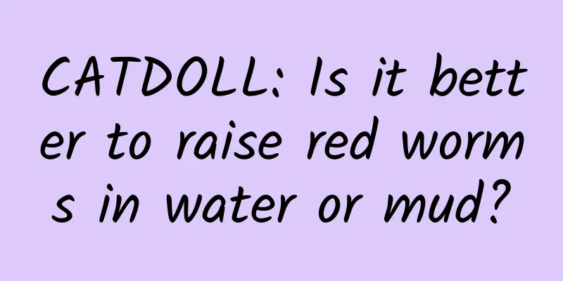 CATDOLL: Is it better to raise red worms in water or mud?