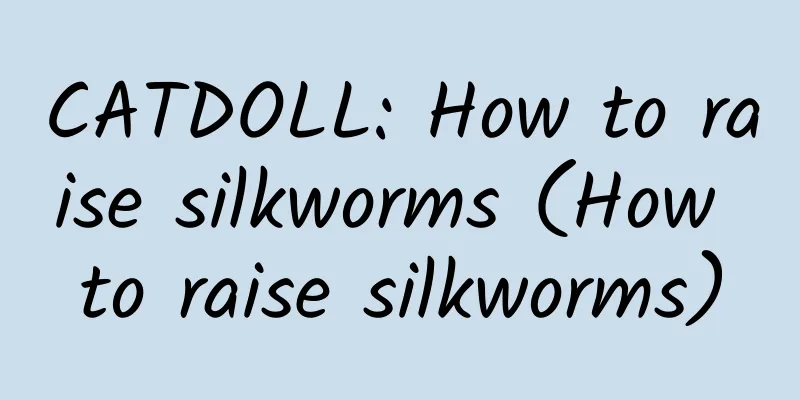 CATDOLL: How to raise silkworms (How to raise silkworms)