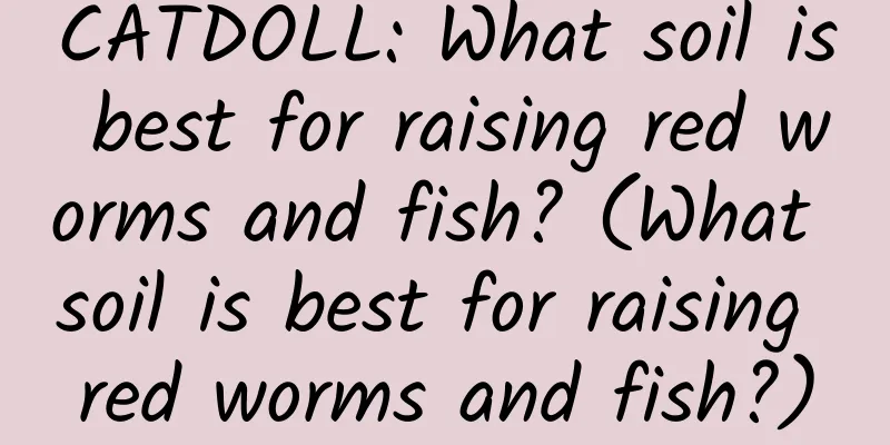 CATDOLL: What soil is best for raising red worms and fish? (What soil is best for raising red worms and fish?)