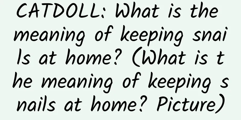 CATDOLL: What is the meaning of keeping snails at home? (What is the meaning of keeping snails at home? Picture)