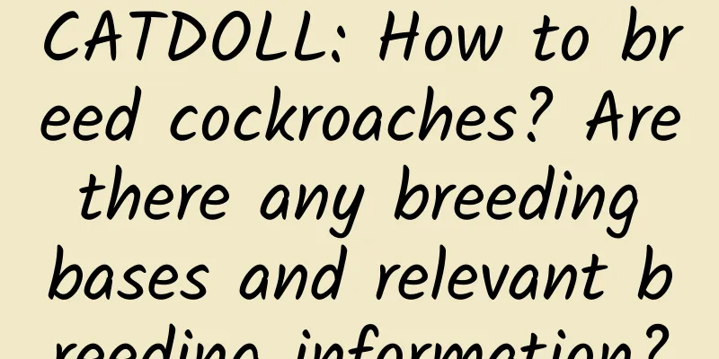 CATDOLL: How to breed cockroaches? Are there any breeding bases and relevant breeding information?