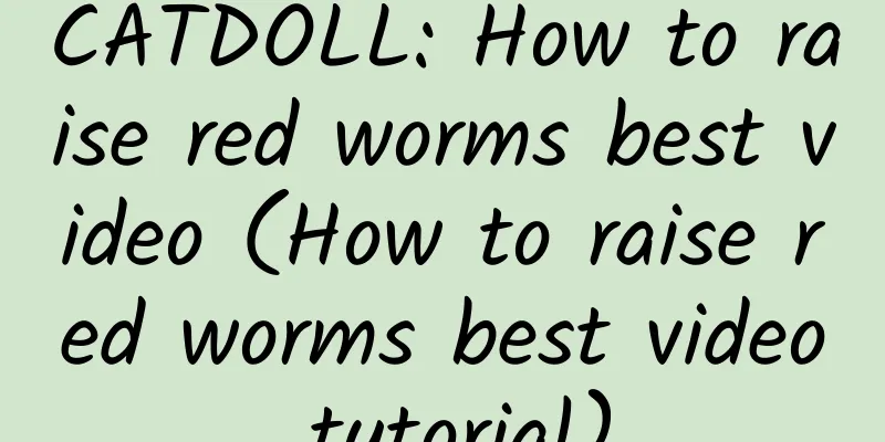 CATDOLL: How to raise red worms best video (How to raise red worms best video tutorial)