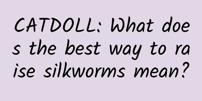 CATDOLL: What does the best way to raise silkworms mean?