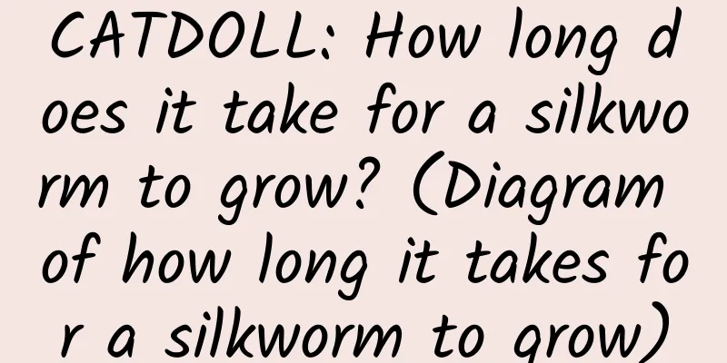 CATDOLL: How long does it take for a silkworm to grow? (Diagram of how long it takes for a silkworm to grow)