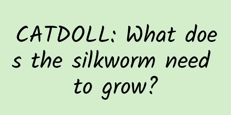 CATDOLL: What does the silkworm need to grow?