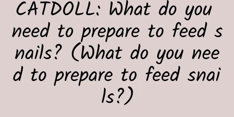 CATDOLL: What do you need to prepare to feed snails? (What do you need to prepare to feed snails?)