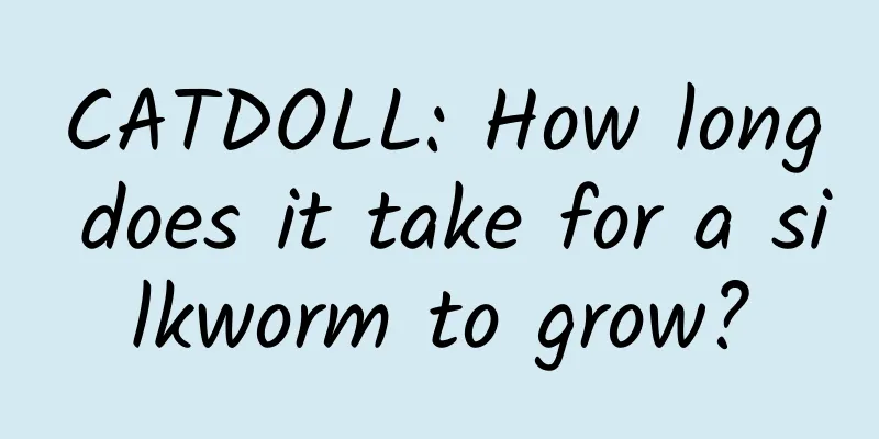 CATDOLL: How long does it take for a silkworm to grow?