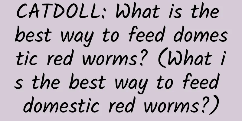 CATDOLL: What is the best way to feed domestic red worms? (What is the best way to feed domestic red worms?)