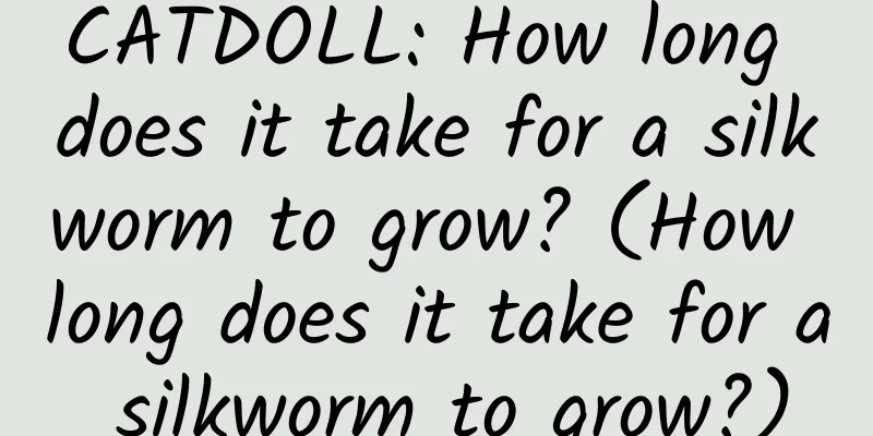 CATDOLL: How long does it take for a silkworm to grow? (How long does it take for a silkworm to grow?)