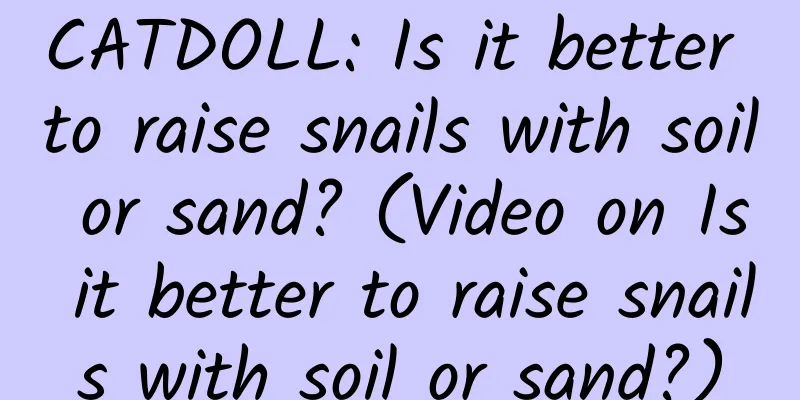 CATDOLL: Is it better to raise snails with soil or sand? (Video on Is it better to raise snails with soil or sand?)