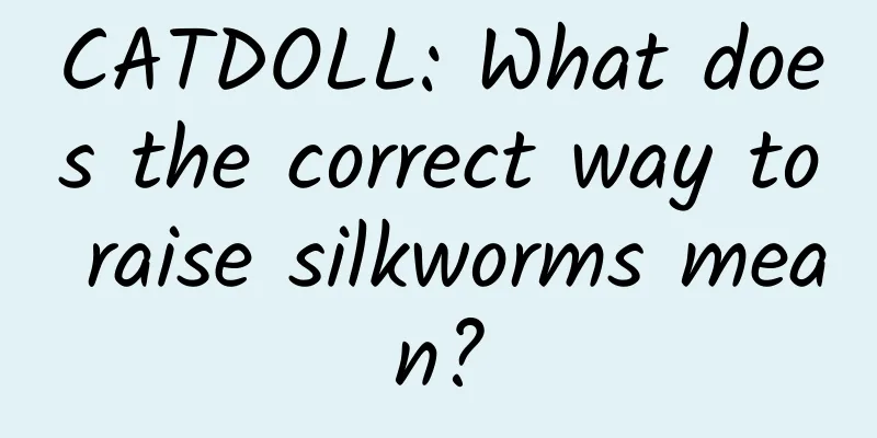 CATDOLL: What does the correct way to raise silkworms mean?