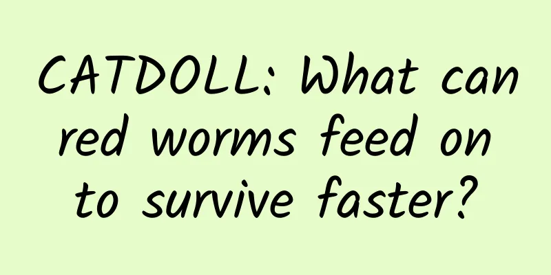 CATDOLL: What can red worms feed on to survive faster?