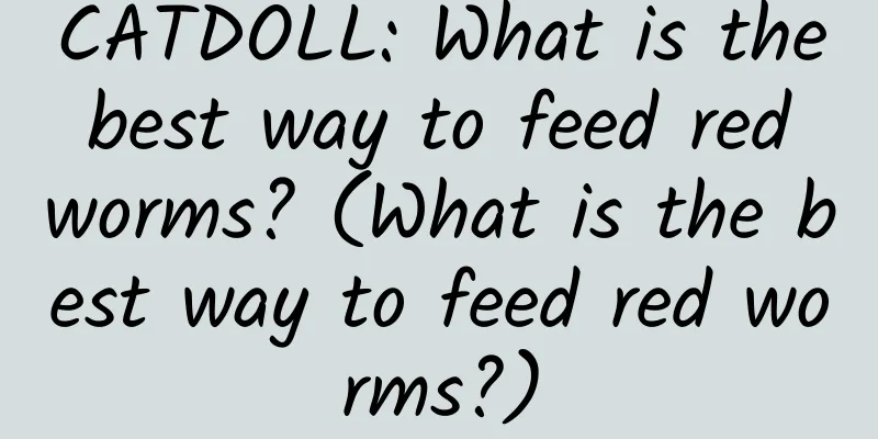 CATDOLL: What is the best way to feed red worms? (What is the best way to feed red worms?)