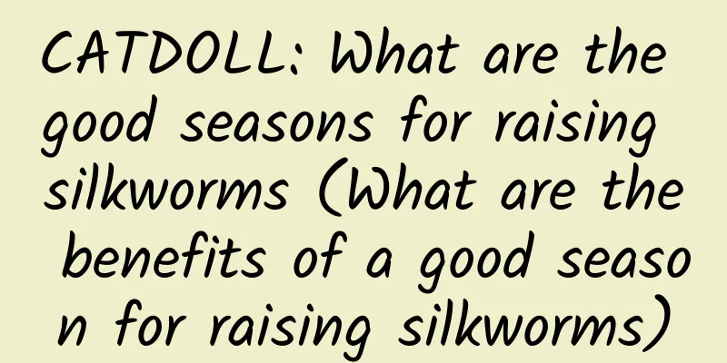 CATDOLL: What are the good seasons for raising silkworms (What are the benefits of a good season for raising silkworms)
