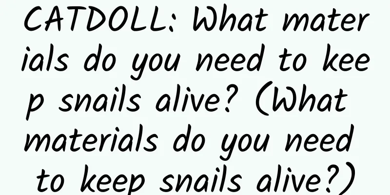 CATDOLL: What materials do you need to keep snails alive? (What materials do you need to keep snails alive?)