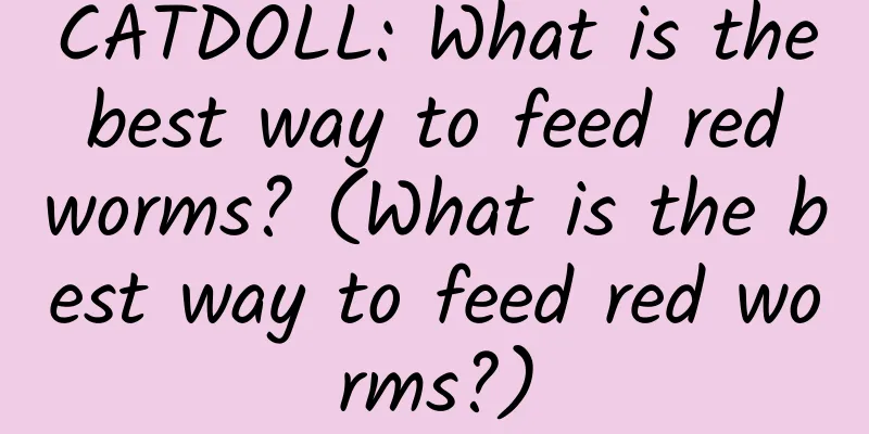 CATDOLL: What is the best way to feed red worms? (What is the best way to feed red worms?)
