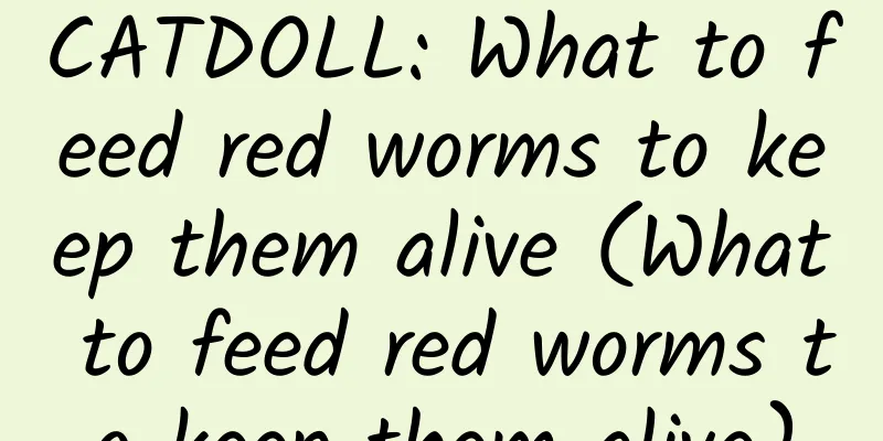 CATDOLL: What to feed red worms to keep them alive (What to feed red worms to keep them alive)