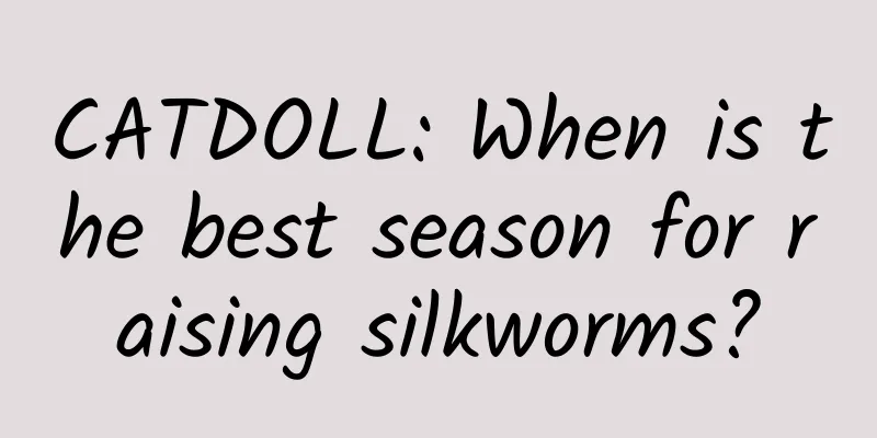 CATDOLL: When is the best season for raising silkworms?
