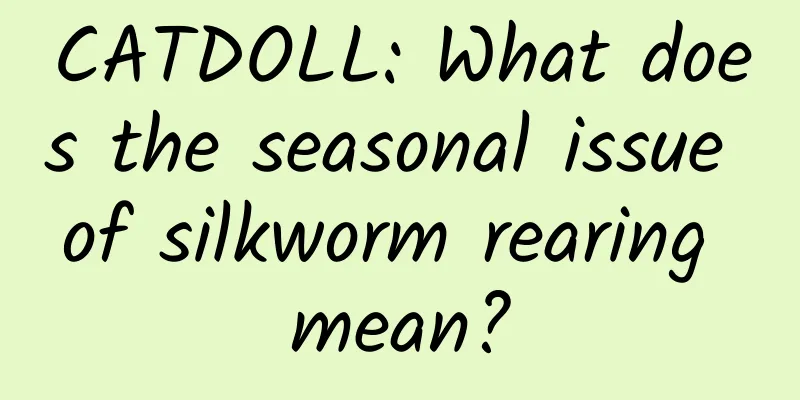 CATDOLL: What does the seasonal issue of silkworm rearing mean?
