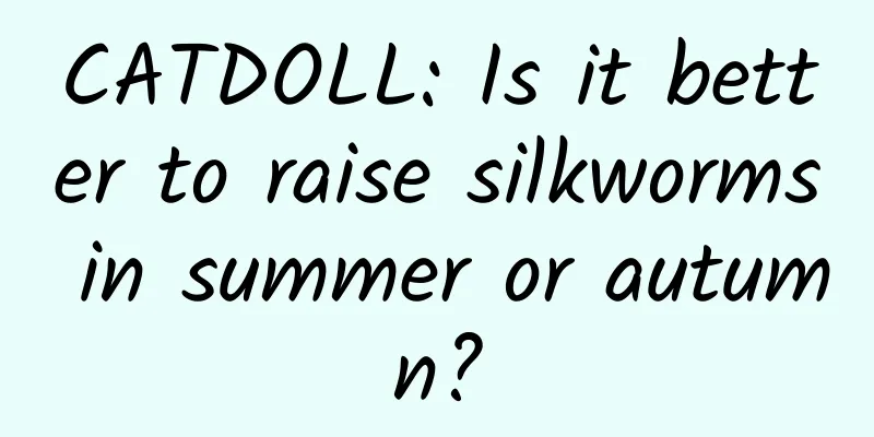 CATDOLL: Is it better to raise silkworms in summer or autumn?