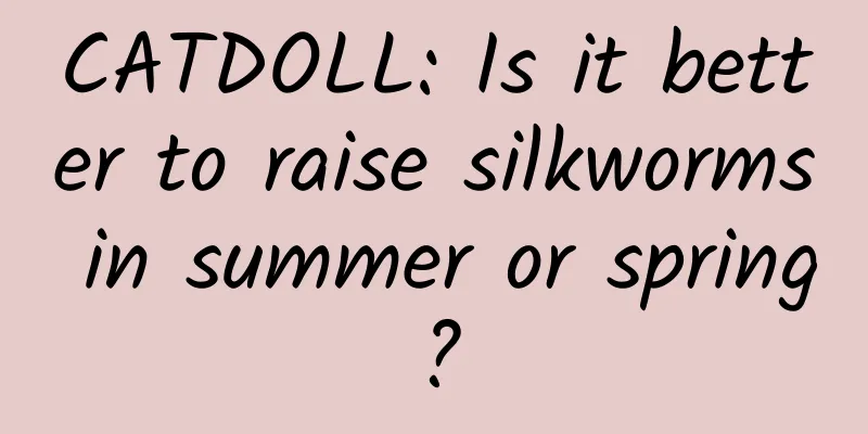 CATDOLL: Is it better to raise silkworms in summer or spring?