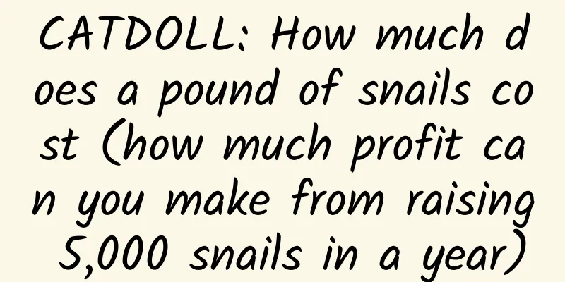 CATDOLL: How much does a pound of snails cost (how much profit can you make from raising 5,000 snails in a year)