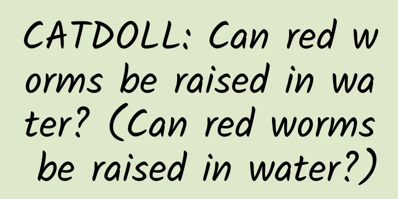 CATDOLL: Can red worms be raised in water? (Can red worms be raised in water?)