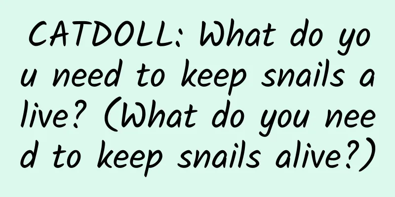 CATDOLL: What do you need to keep snails alive? (What do you need to keep snails alive?)