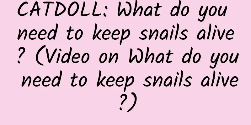 CATDOLL: What do you need to keep snails alive? (Video on What do you need to keep snails alive?)
