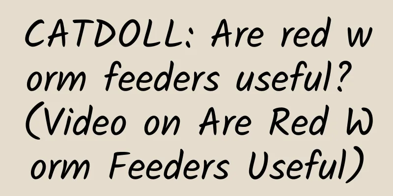 CATDOLL: Are red worm feeders useful? (Video on Are Red Worm Feeders Useful)
