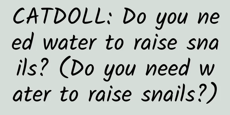 CATDOLL: Do you need water to raise snails? (Do you need water to raise snails?)