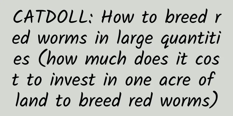 CATDOLL: How to breed red worms in large quantities (how much does it cost to invest in one acre of land to breed red worms)