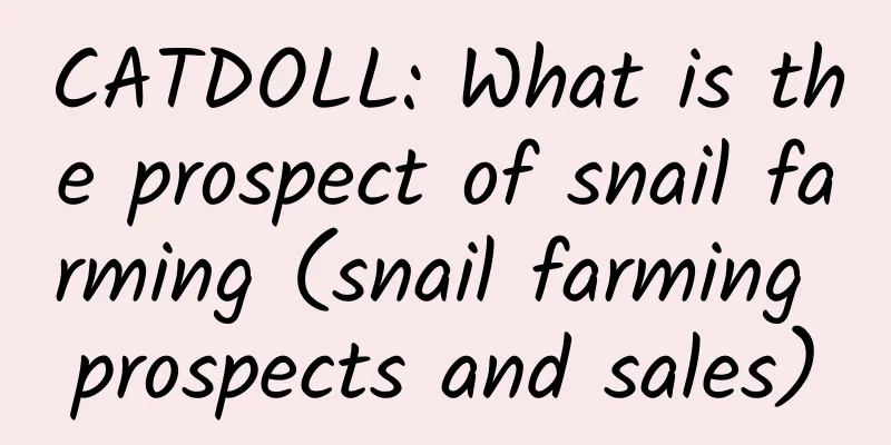 CATDOLL: What is the prospect of snail farming (snail farming prospects and sales)