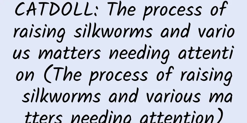 CATDOLL: The process of raising silkworms and various matters needing attention (The process of raising silkworms and various matters needing attention)