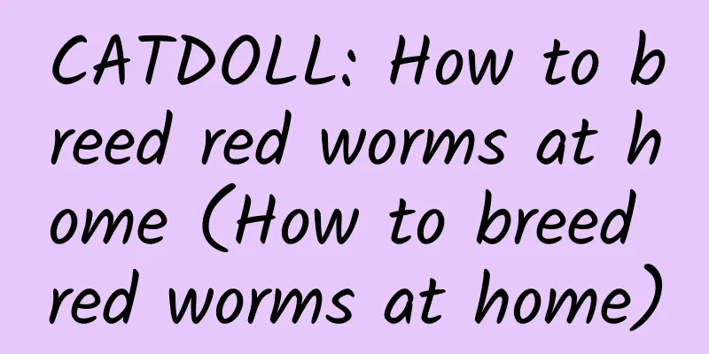 CATDOLL: How to breed red worms at home (How to breed red worms at home)