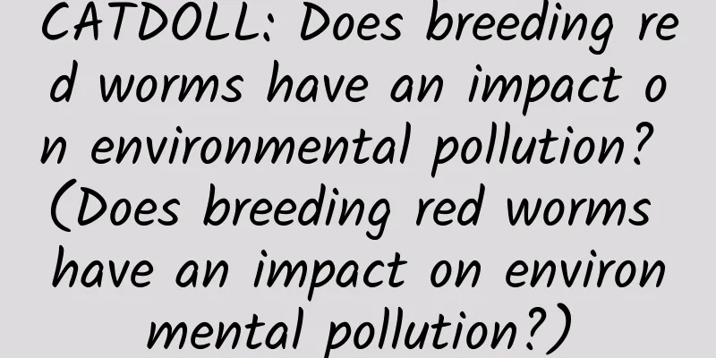 CATDOLL: Does breeding red worms have an impact on environmental pollution? (Does breeding red worms have an impact on environmental pollution?)