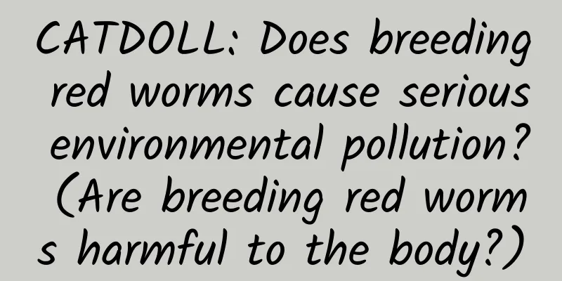 CATDOLL: Does breeding red worms cause serious environmental pollution? (Are breeding red worms harmful to the body?)