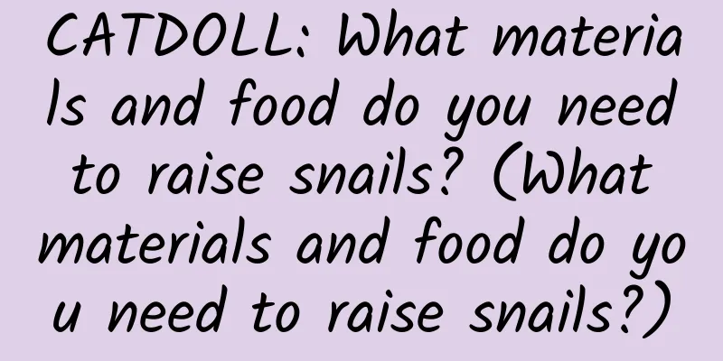 CATDOLL: What materials and food do you need to raise snails? (What materials and food do you need to raise snails?)