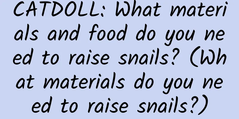 CATDOLL: What materials and food do you need to raise snails? (What materials do you need to raise snails?)