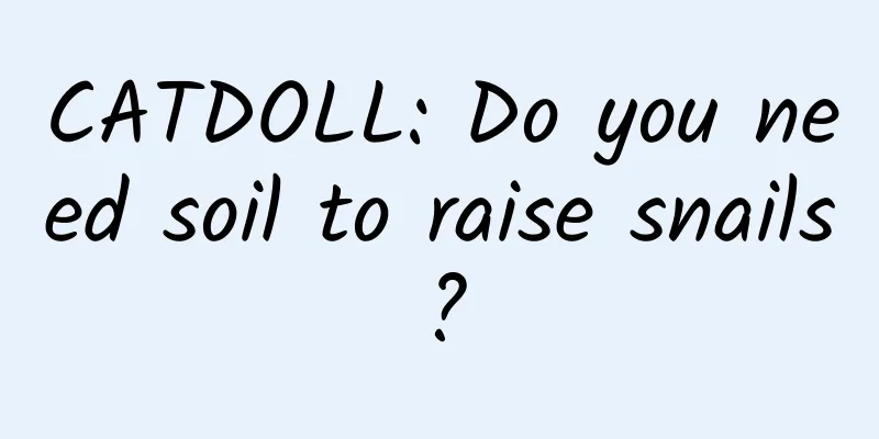 CATDOLL: Do you need soil to raise snails?