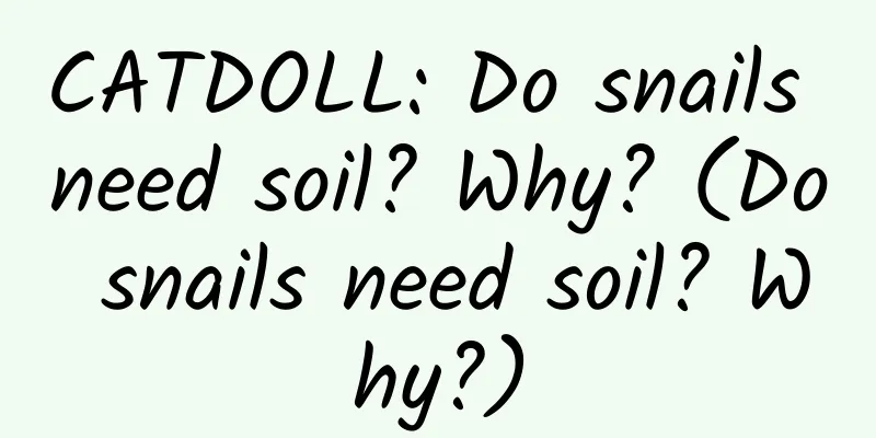 CATDOLL: Do snails need soil? Why? (Do snails need soil? Why?)