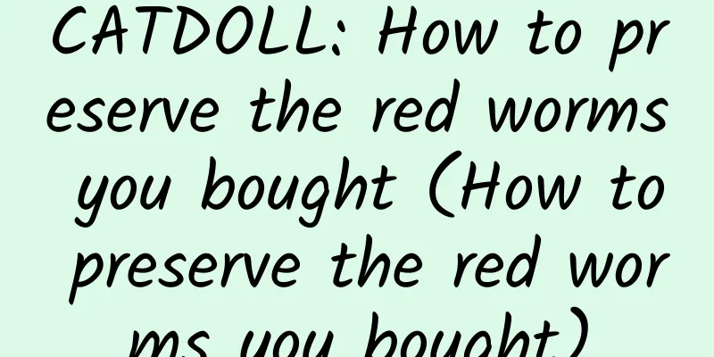 CATDOLL: How to preserve the red worms you bought (How to preserve the red worms you bought)