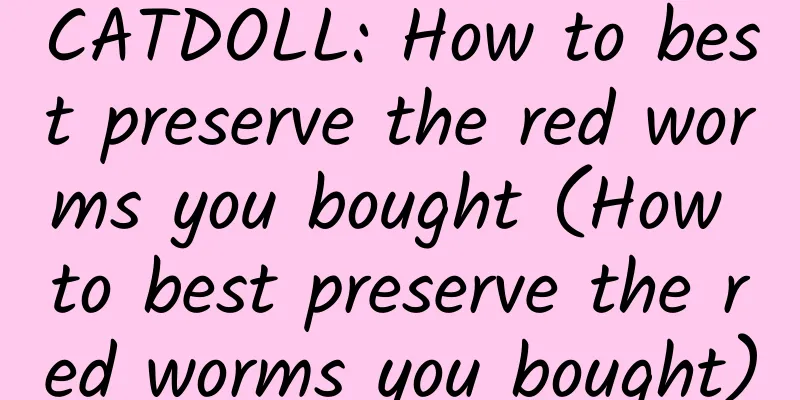 CATDOLL: How to best preserve the red worms you bought (How to best preserve the red worms you bought)