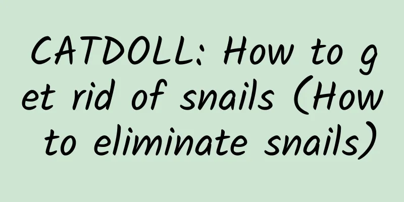 CATDOLL: How to get rid of snails (How to eliminate snails)