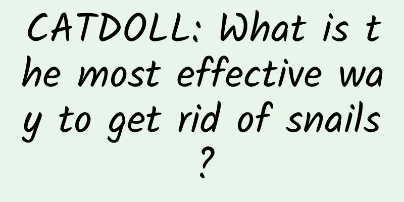 CATDOLL: What is the most effective way to get rid of snails?
