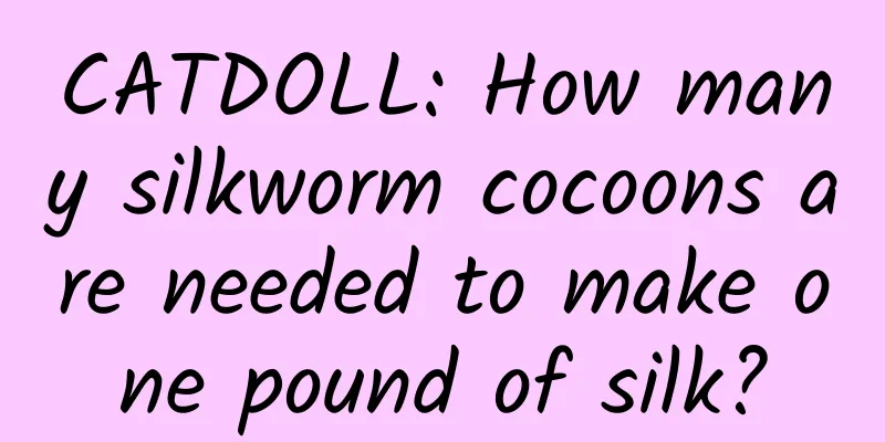 CATDOLL: How many silkworm cocoons are needed to make one pound of silk?