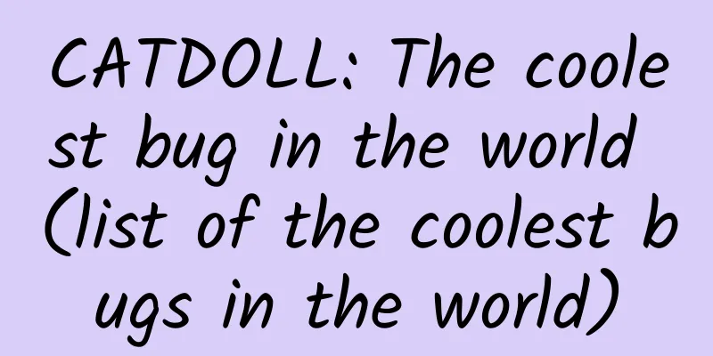 CATDOLL: The coolest bug in the world (list of the coolest bugs in the world)
