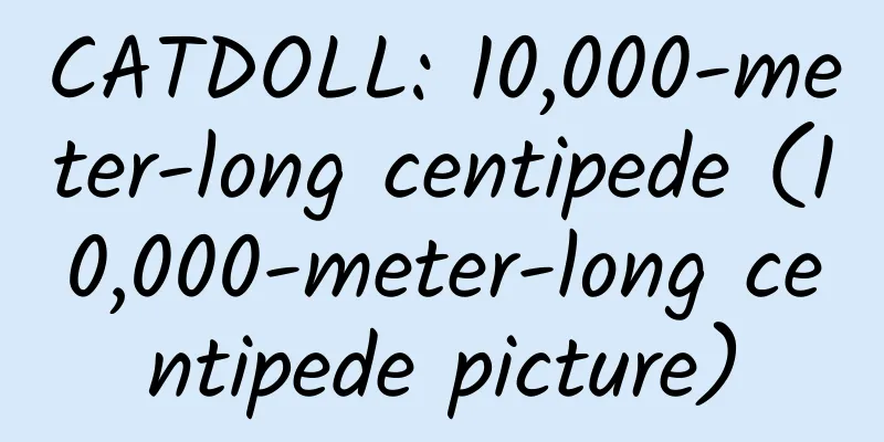 CATDOLL: 10,000-meter-long centipede (10,000-meter-long centipede picture)