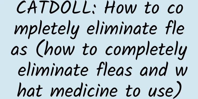CATDOLL: How to completely eliminate fleas (how to completely eliminate fleas and what medicine to use)