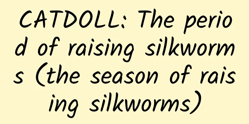 CATDOLL: The period of raising silkworms (the season of raising silkworms)